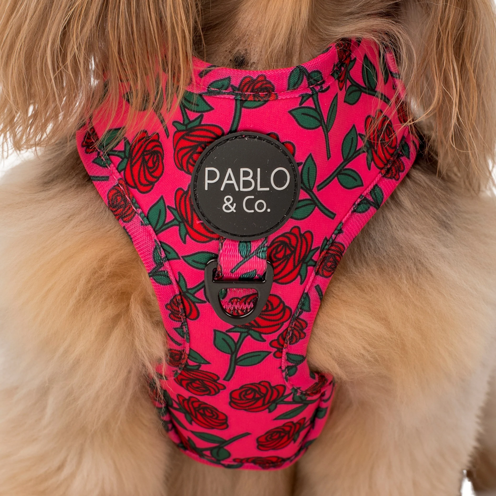 Pablo & Co Rosie Adjustable Harness