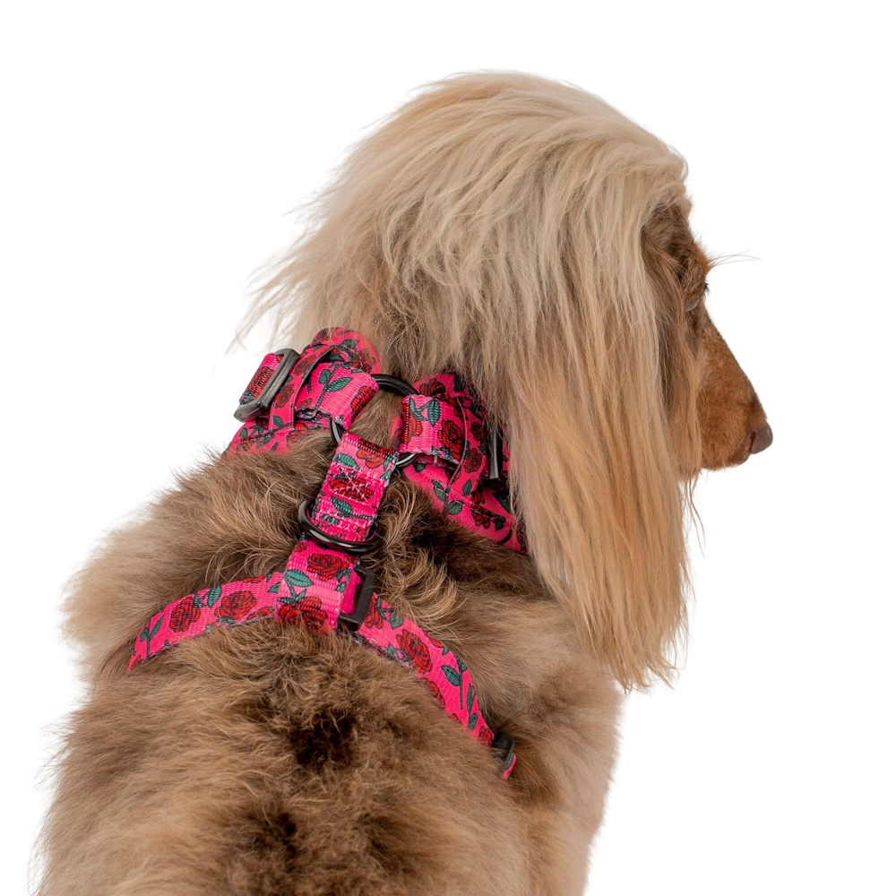 Pablo & Co Rosie Adjustable Harness