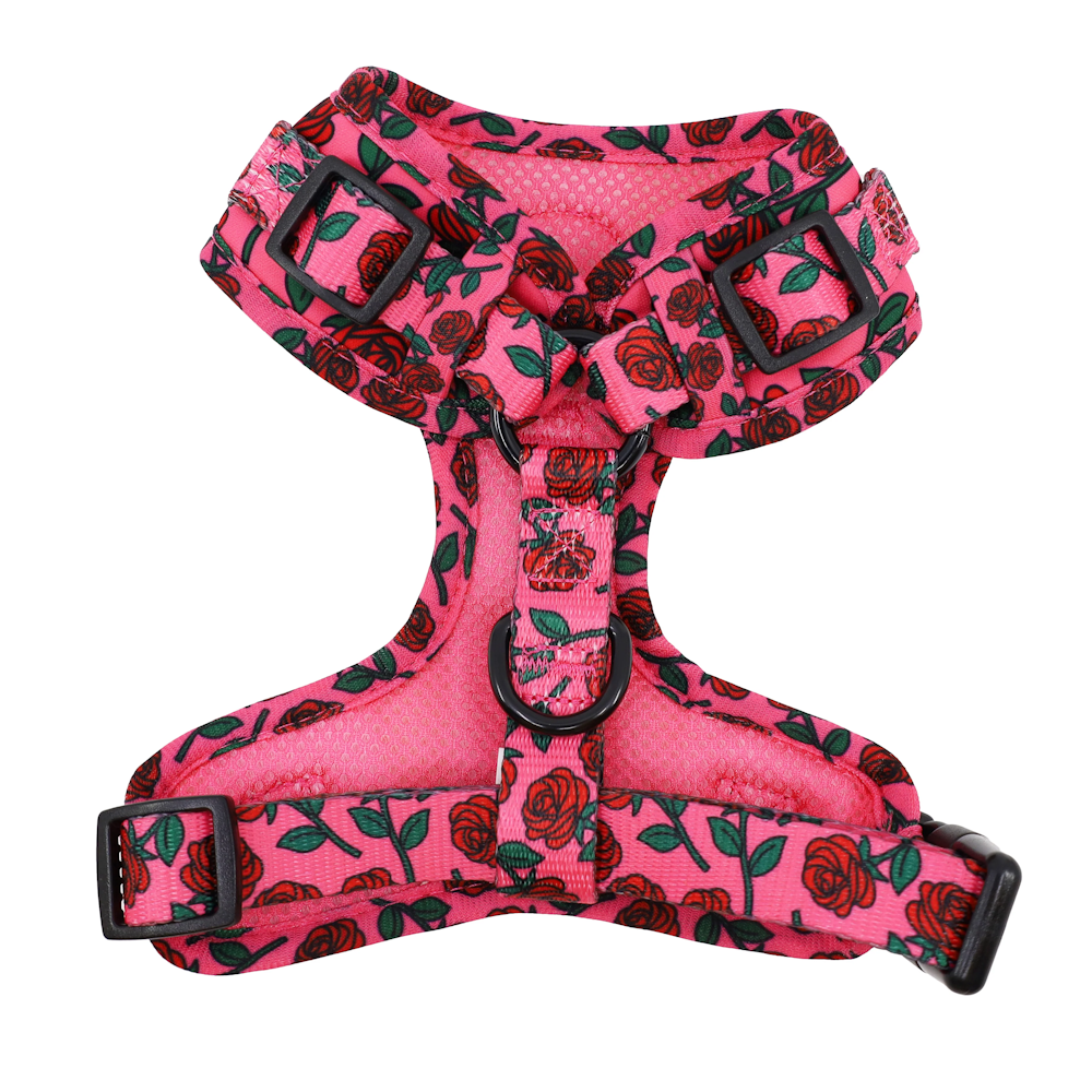 Pablo & Co Rosie Adjustable Harness