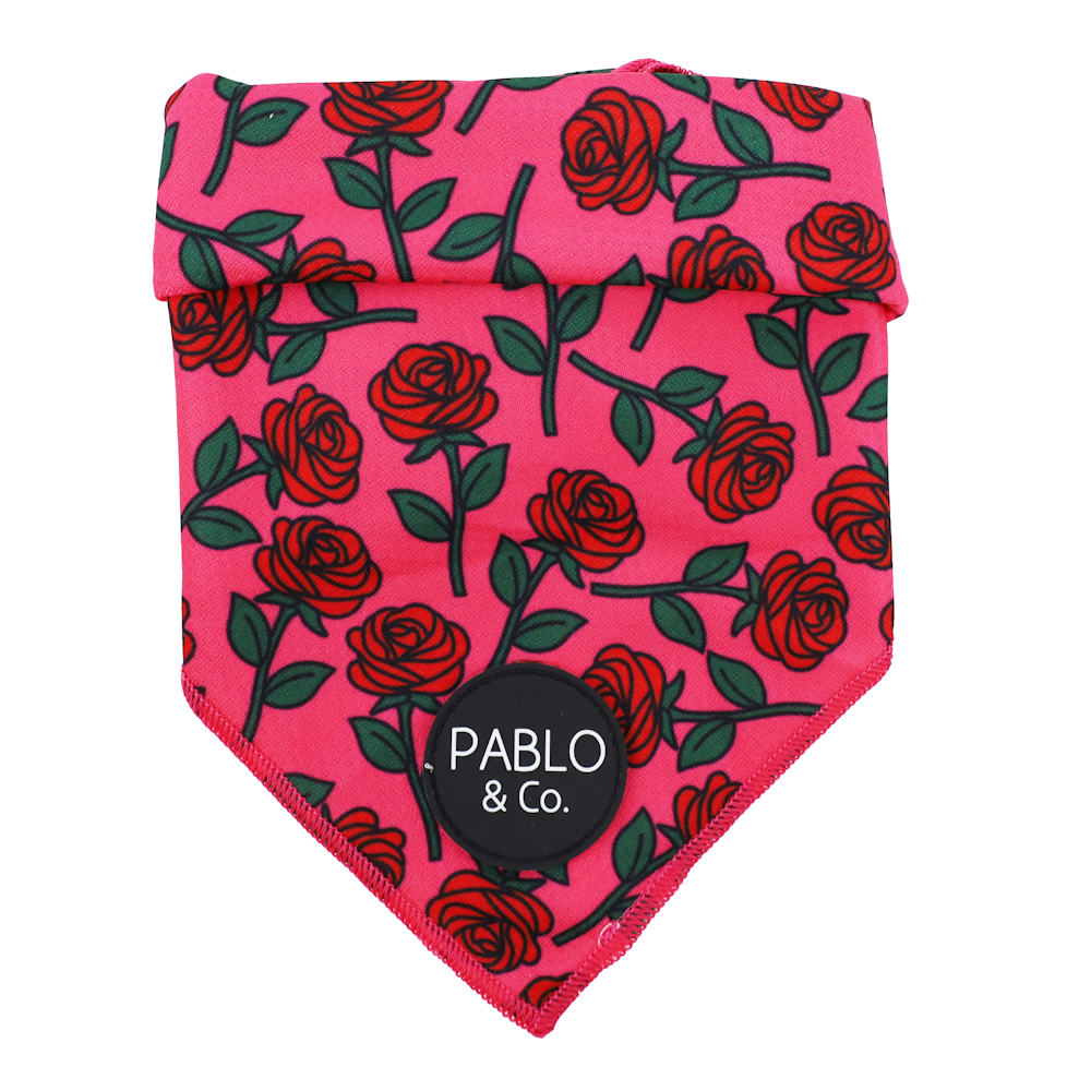 Pablo & Co Rosie Bandana