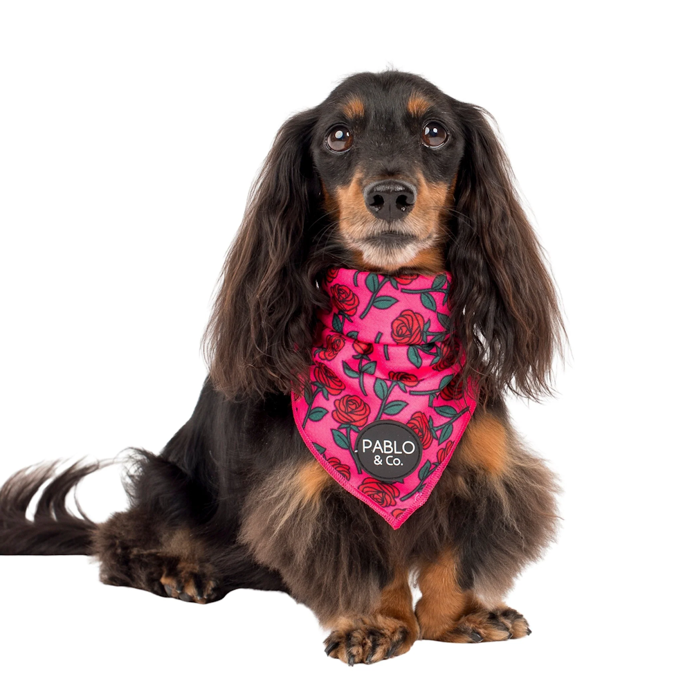 Pablo & Co Rosie Bandana