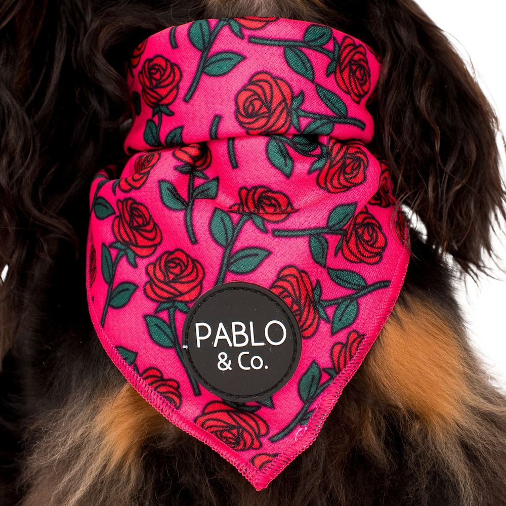 Pablo & Co Rosie Bandana