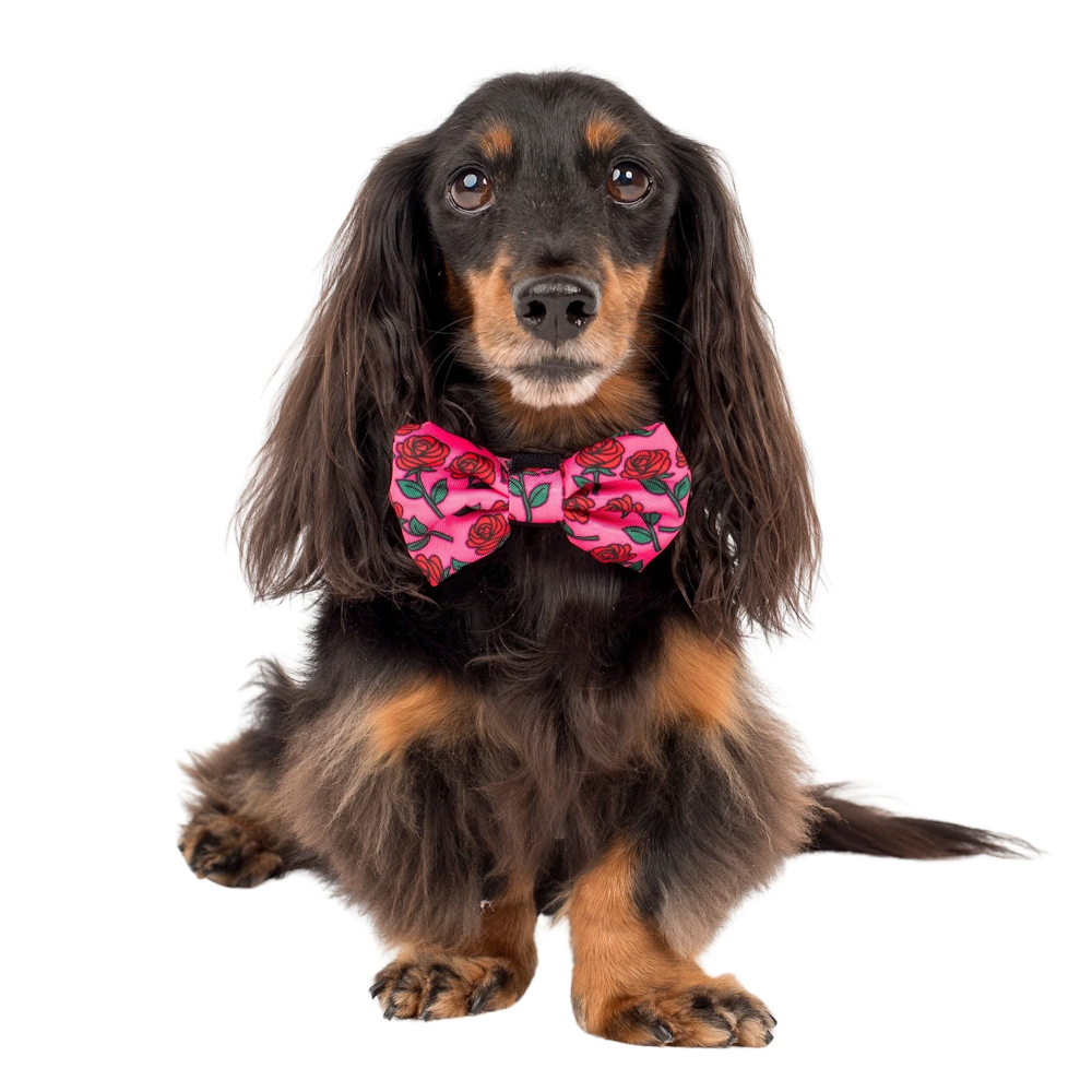 Pablo & Co Rosie Bow Tie