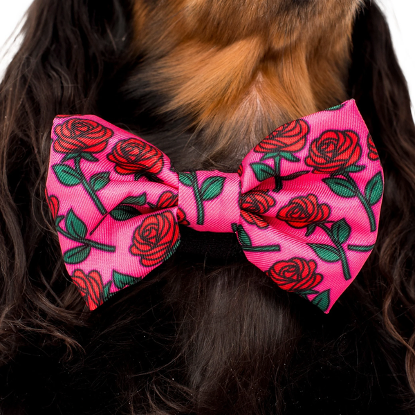 Pablo & Co Rosie Bow Tie