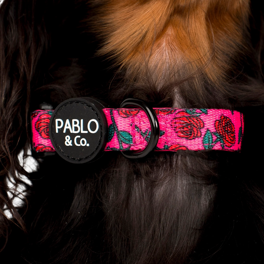 Pablo & Co Rosie Dog Collar