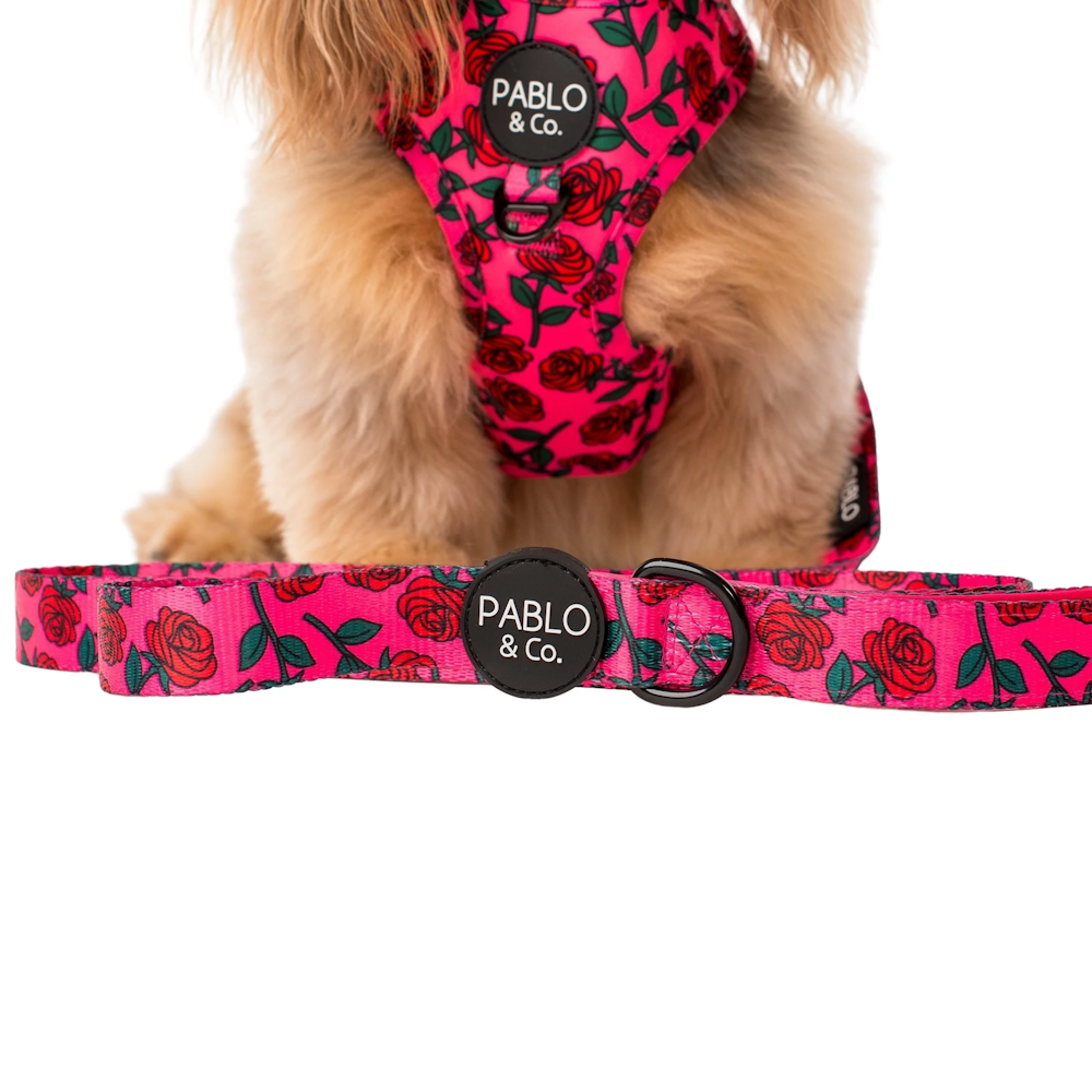 Pablo & Co Rosie Dog Leash