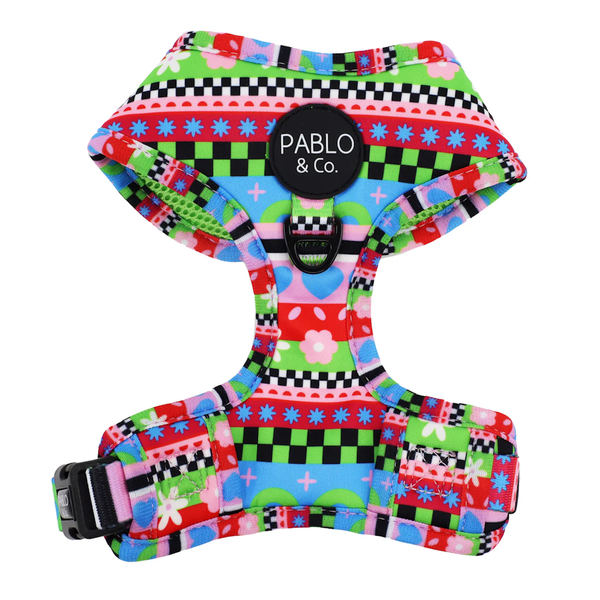 Pablo & Co Saint's Sweater: Adjustable Harness