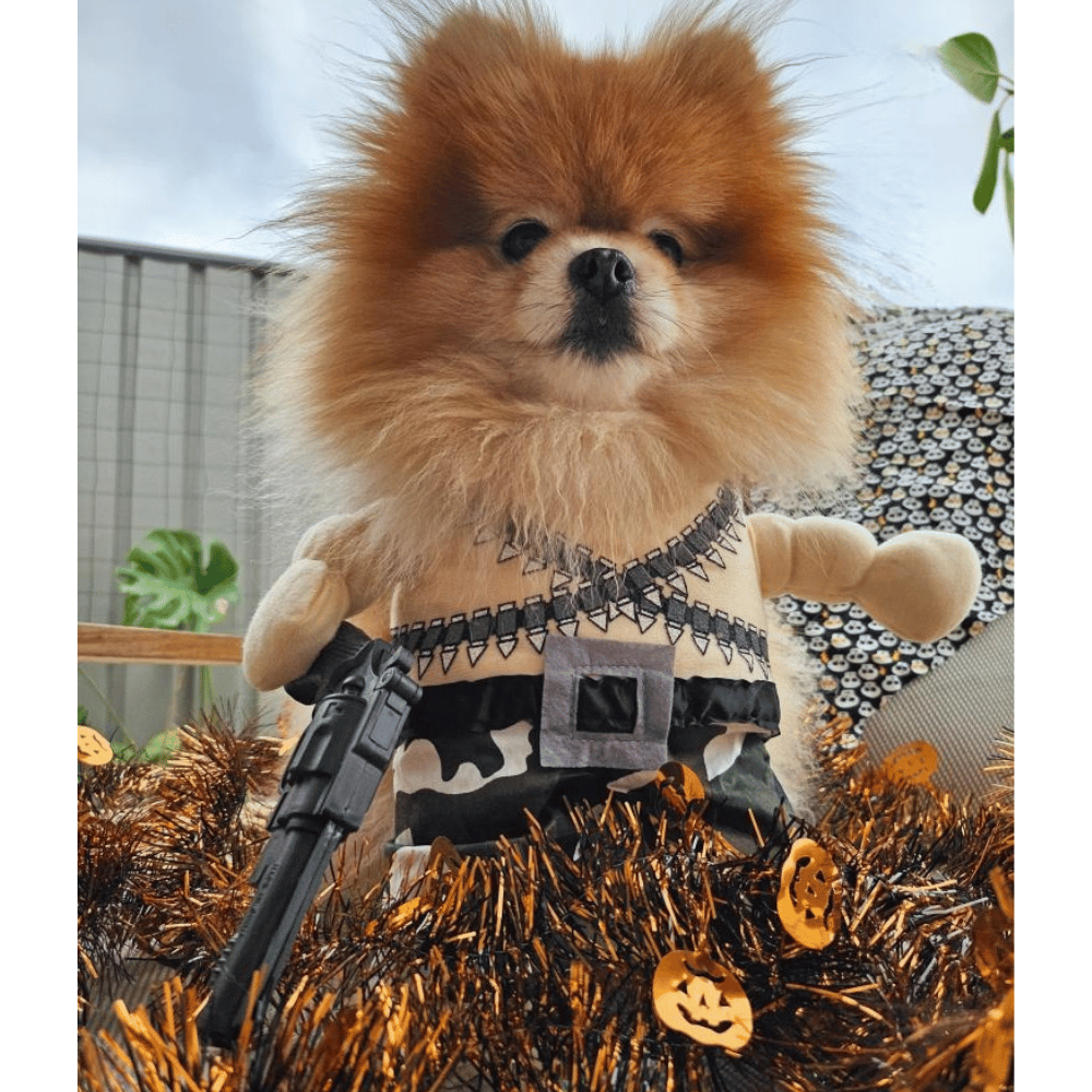 Rambo Dog Costume