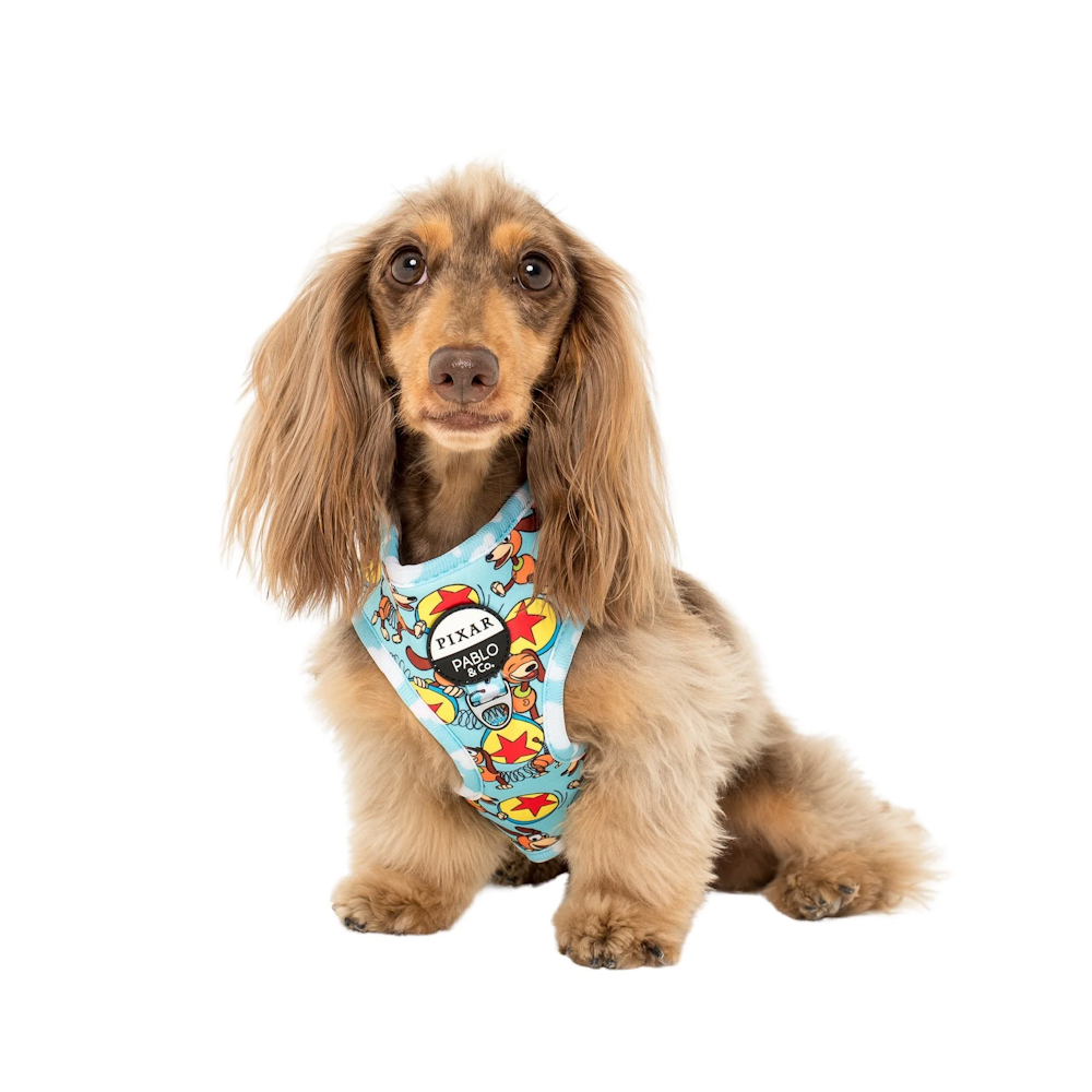 Pablo & Co Toy Story - Slinky Dog: Adjustable Harness