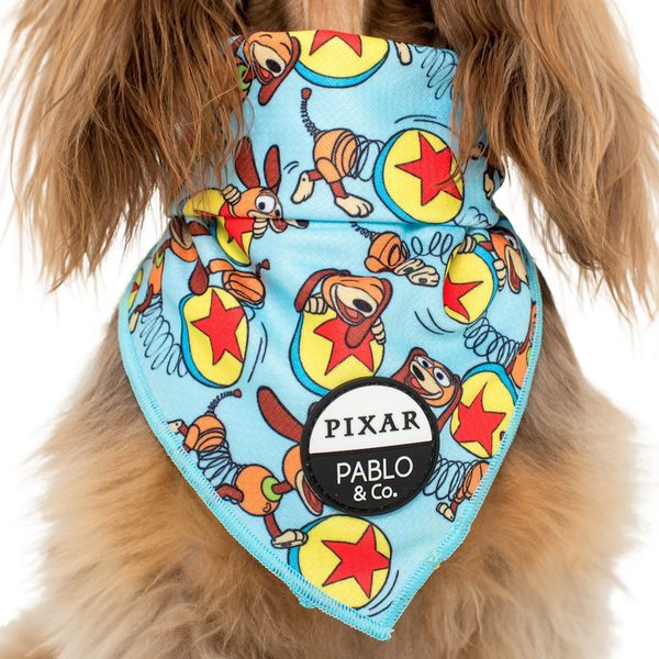 Pablo & Co Toy Story - Slinky Dog: Bandana