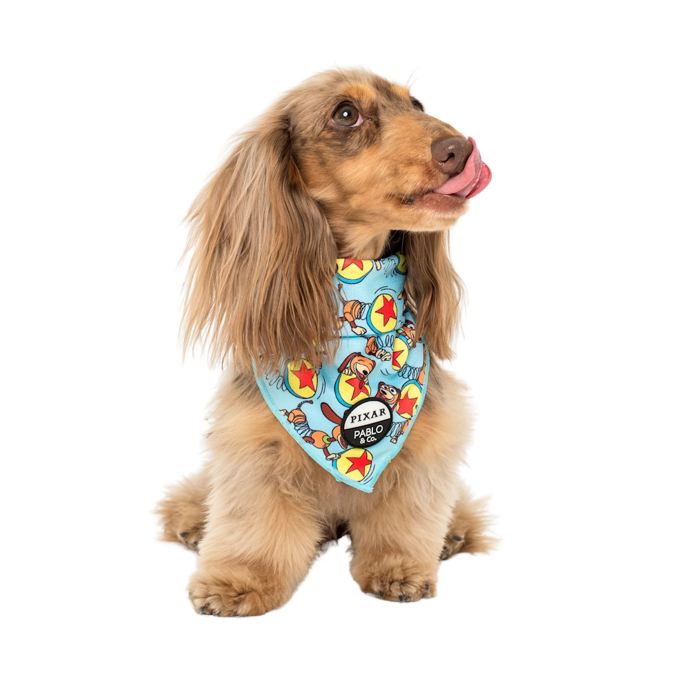 Pablo & Co Toy Story - Slinky Dog: Bandana