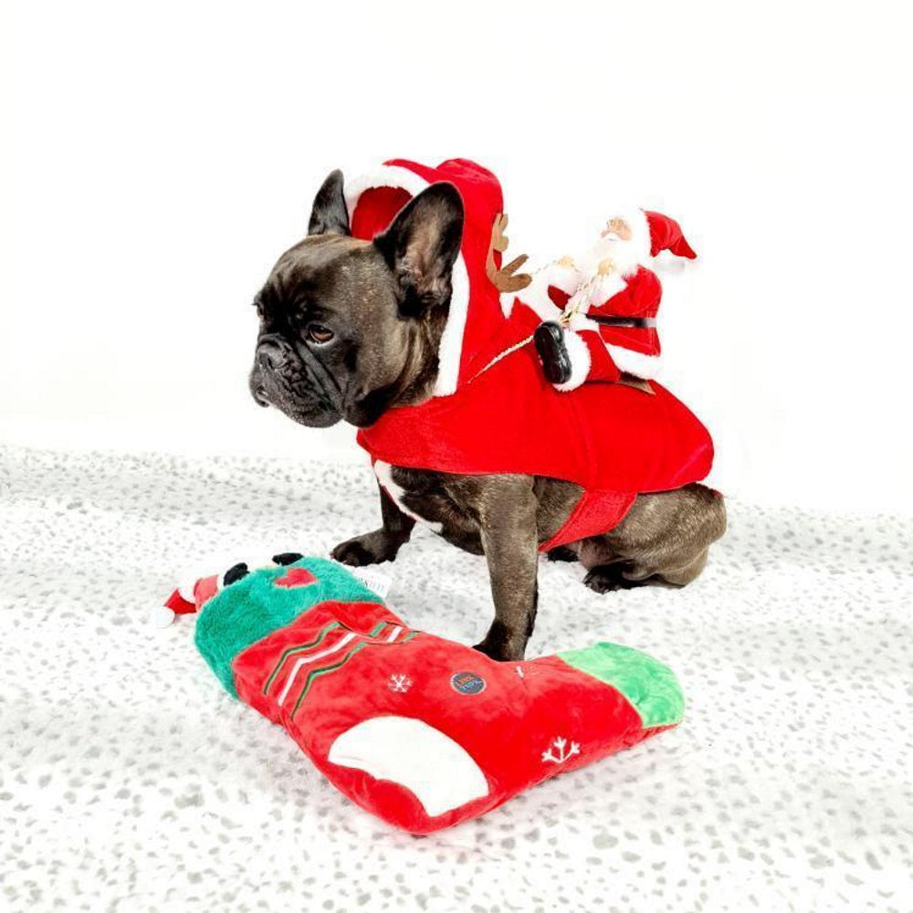 Christmas Dog Stocking