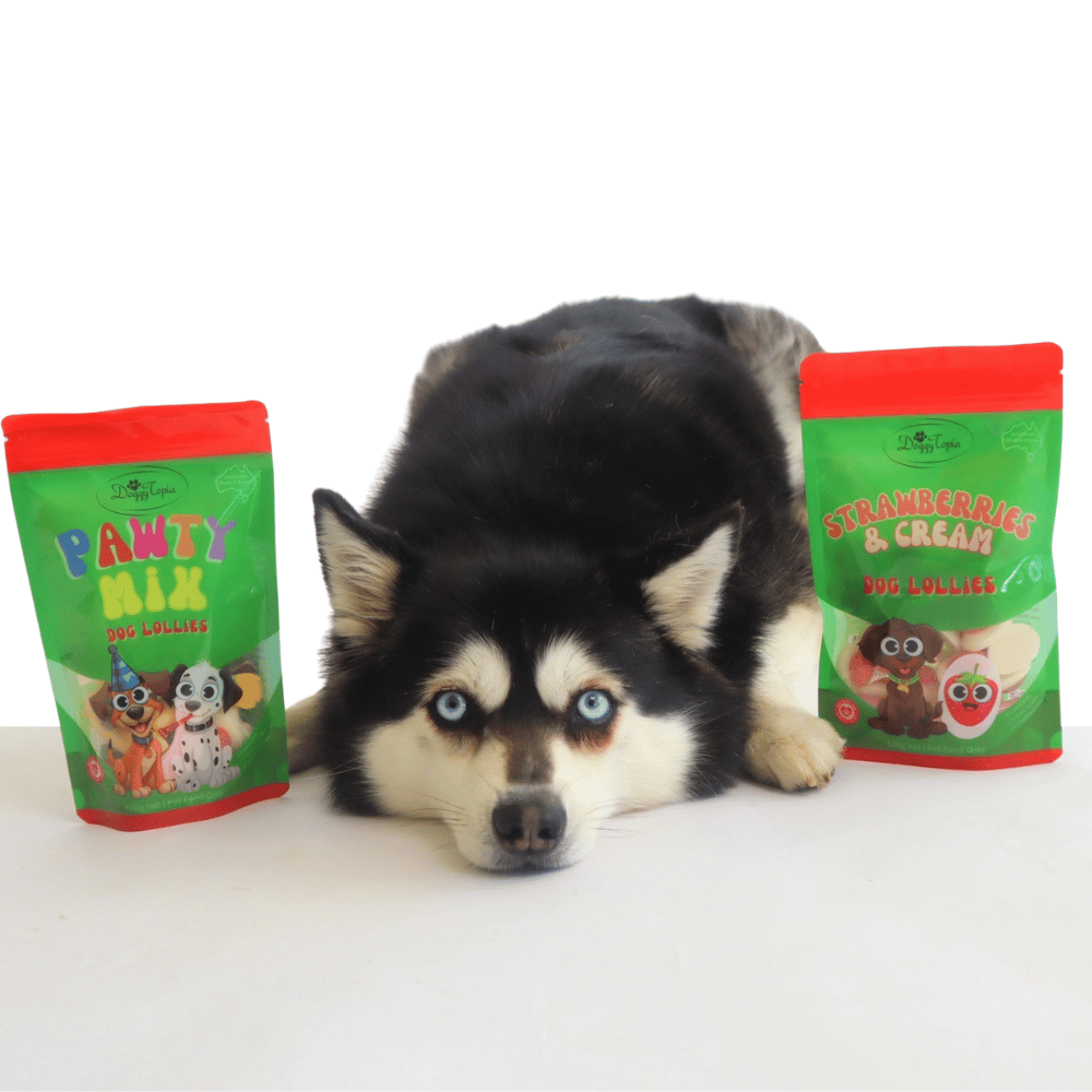 Pawty Mix Dog Lollies