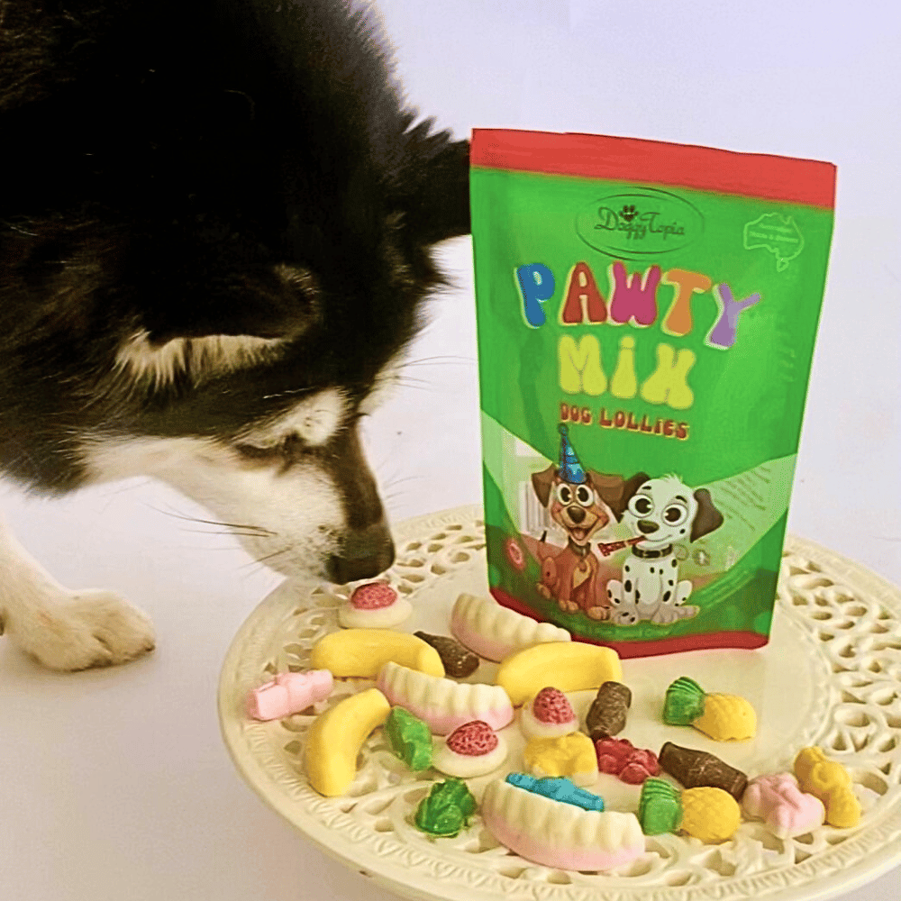 Pawty Mix Dog Lollies