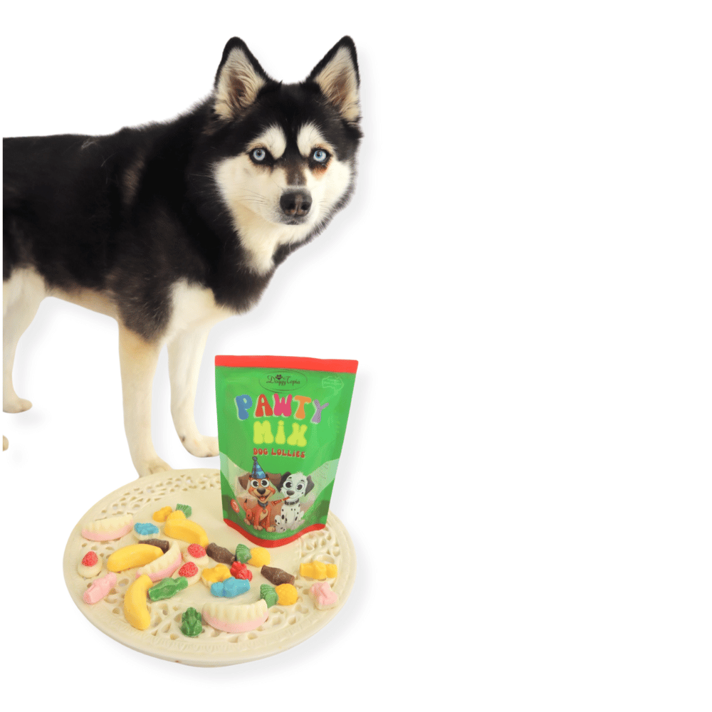 Pawty Mix Dog Lollies