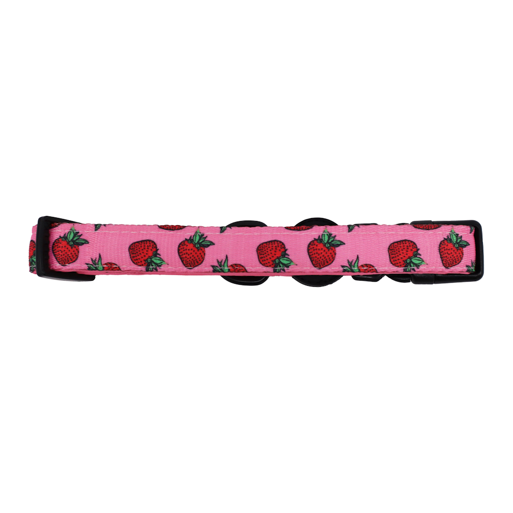 Pablo & Co Strawberries Dog Collar