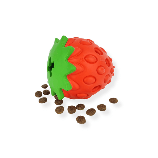 Strawberry Treat Dispenser Toy