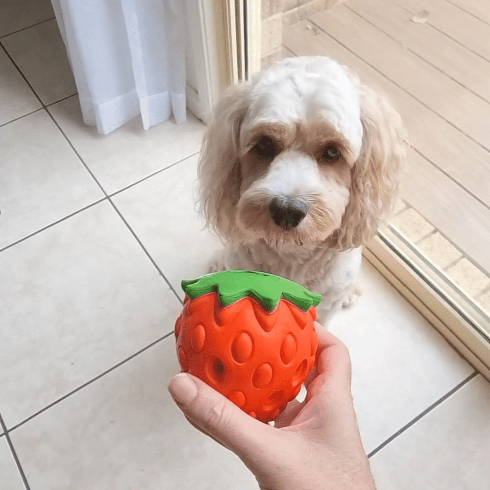 Strawberry Treat Dispenser Toy