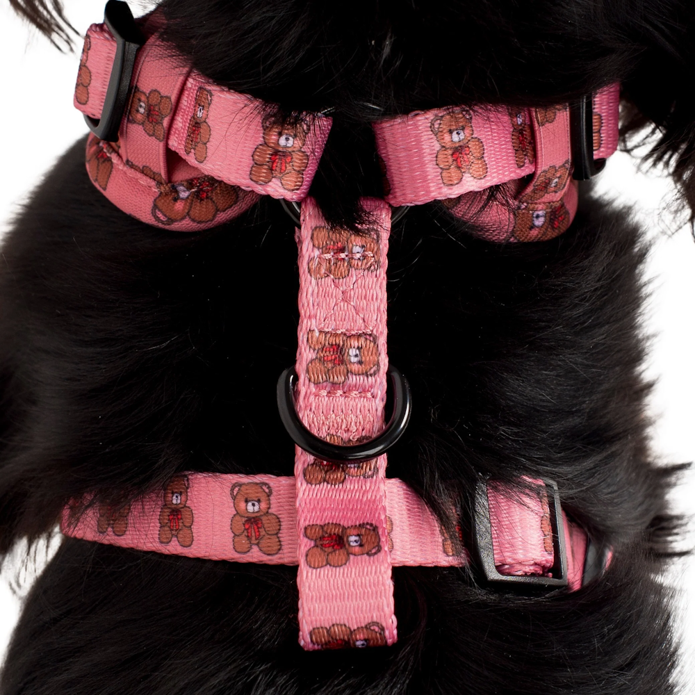 Pablo & Co Teddies Adjustable Harness