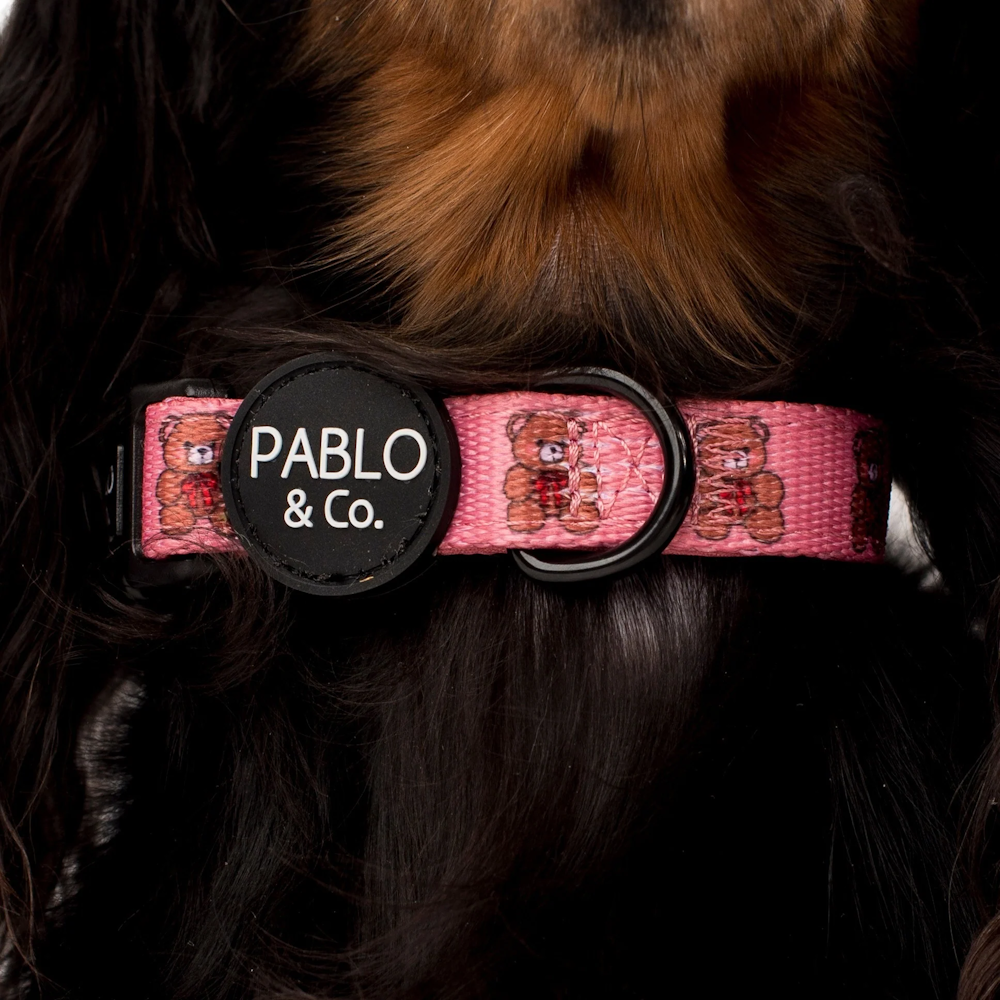 Pablo & Co Teddies Dog Collar