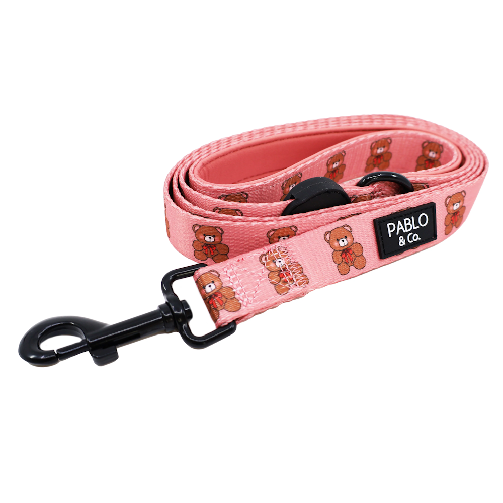 Pablo & Co Teddies Dog Leash