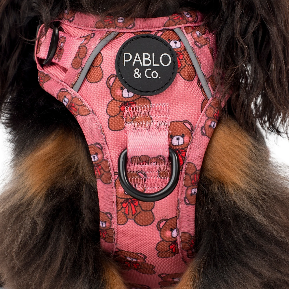 Pablo & Co Teddies No Pull Harness