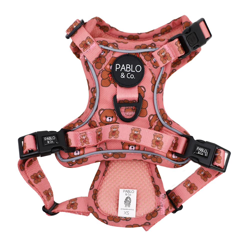 Pablo & Co Teddies No Pull Harness