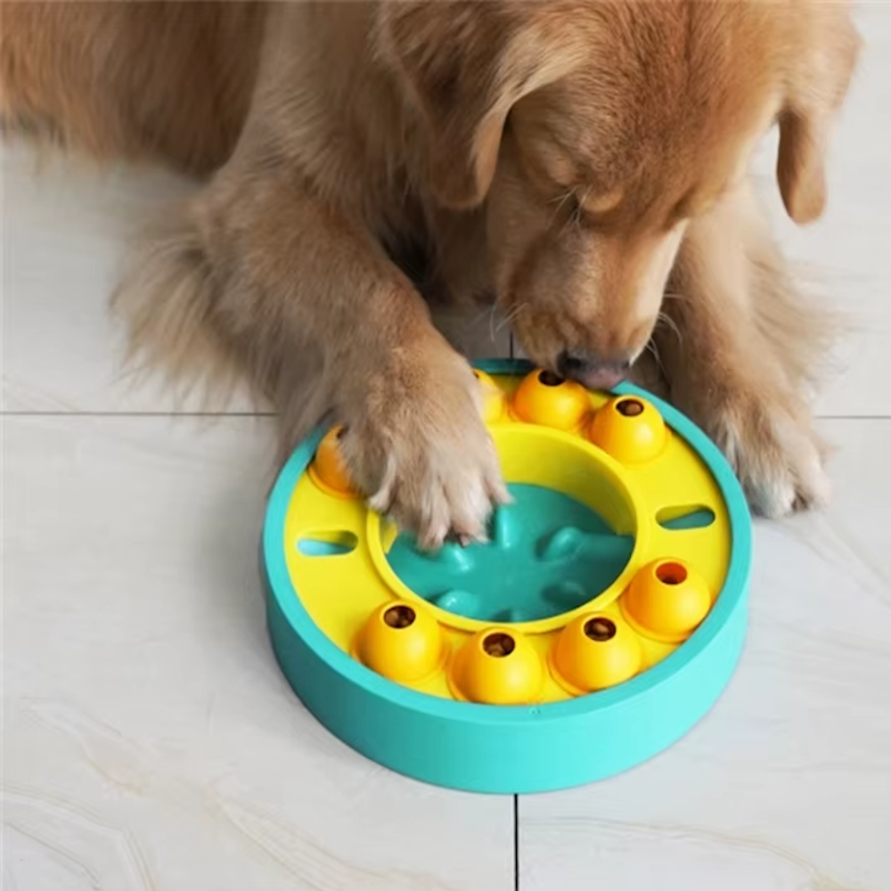 Wheel Slow Feeder Dog Puzzle