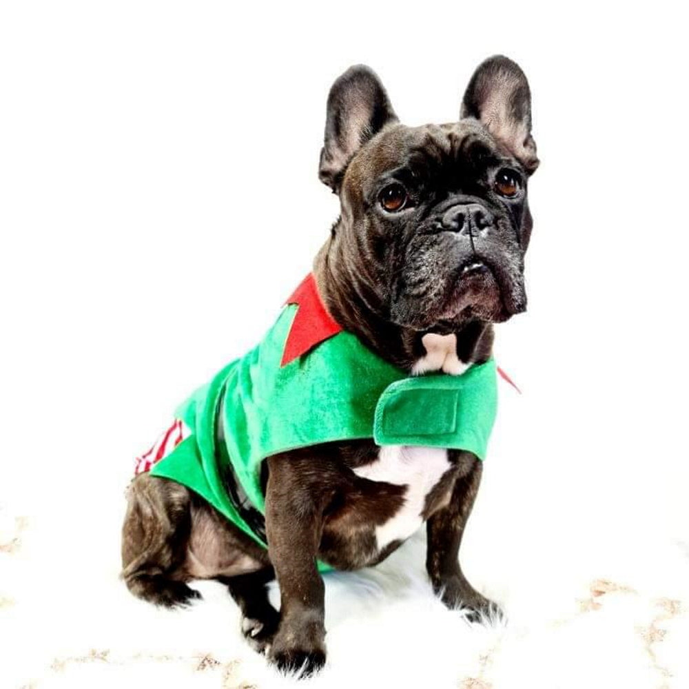 Elf Dog Costume