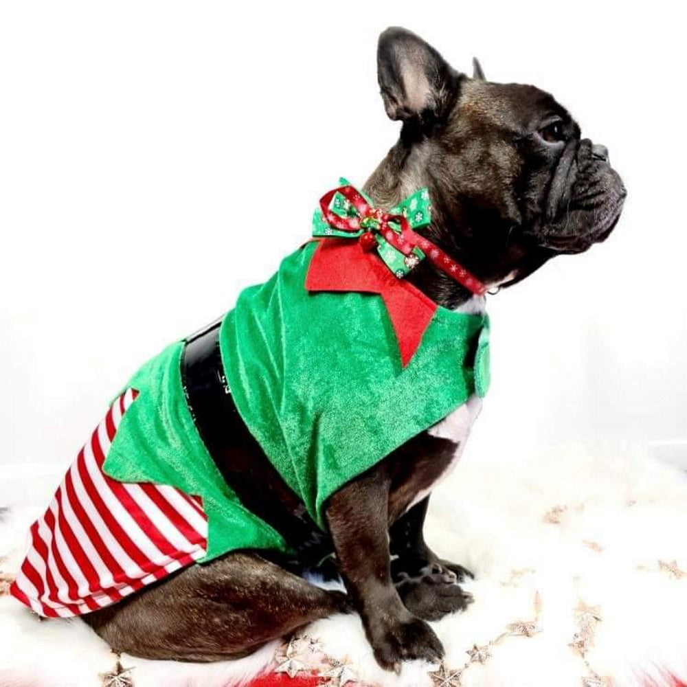 Elf Dog Costume