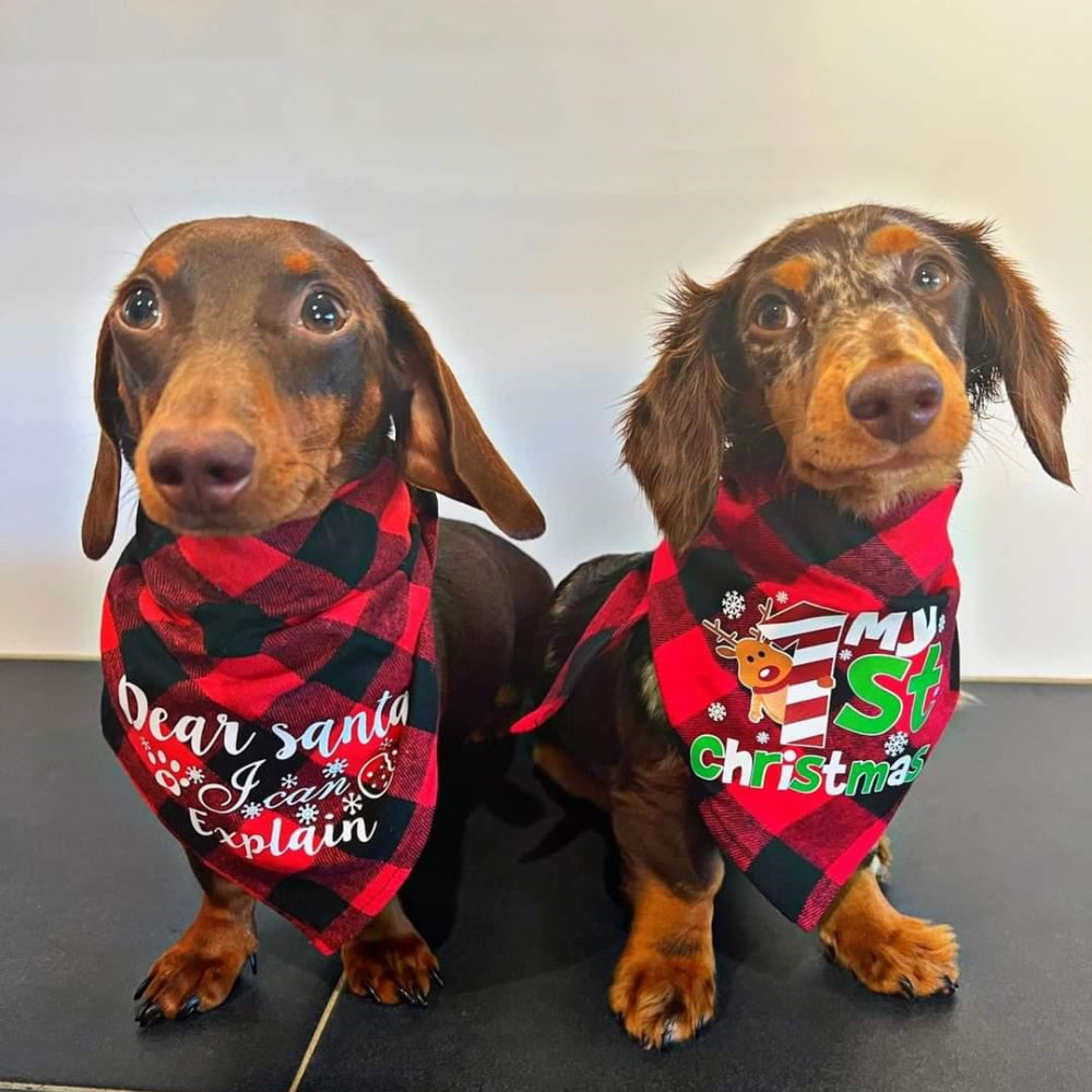 Dear Santa I Can Explain Red Plaid Bandana