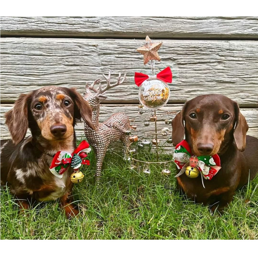 Reindeer Bow Knot Christmas Collar