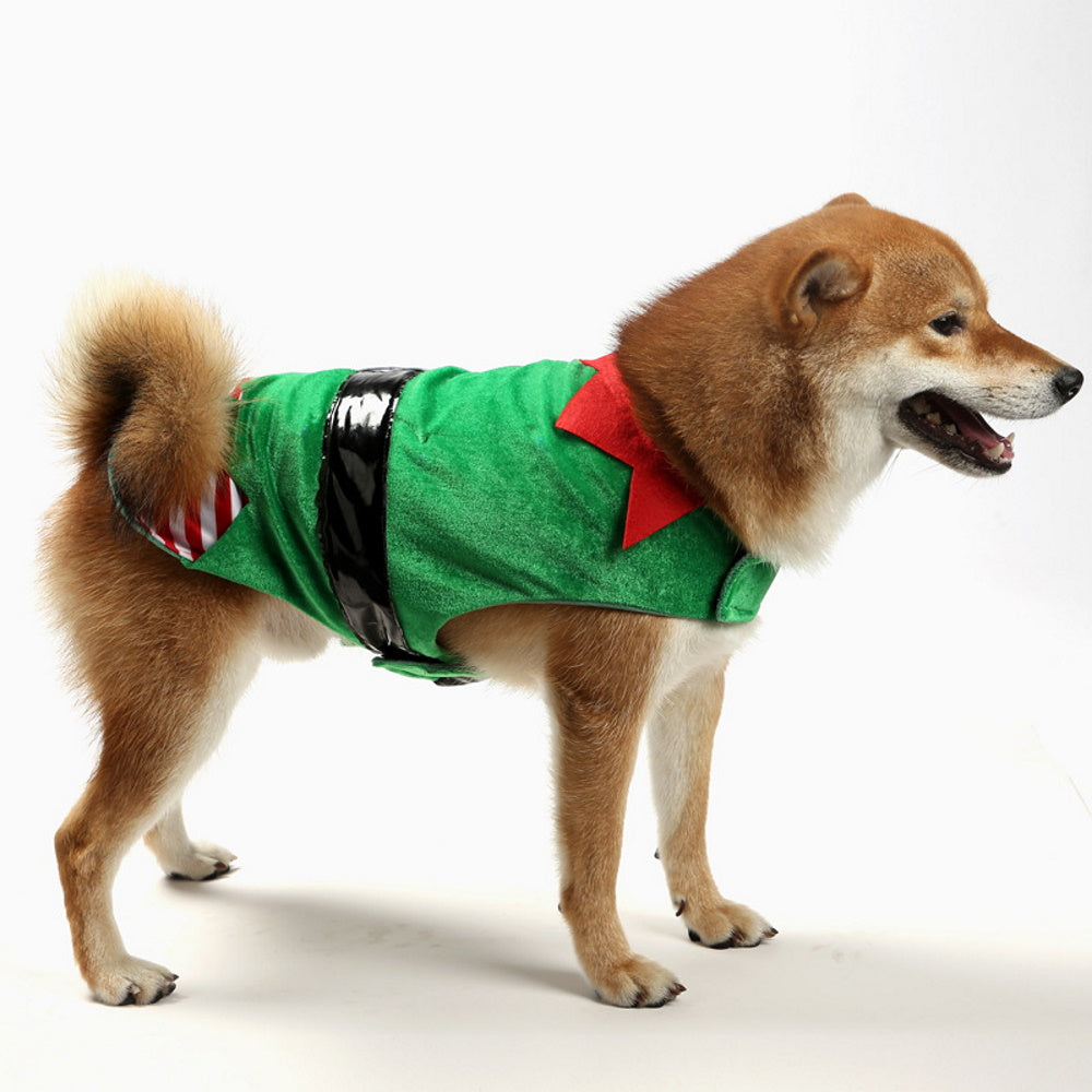 Elf Dog Costume