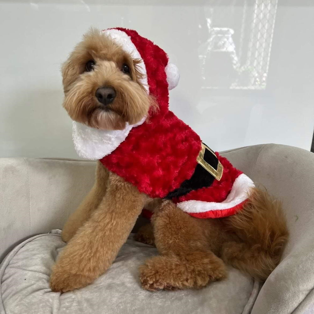 Santa Claus Vest Dog Costume