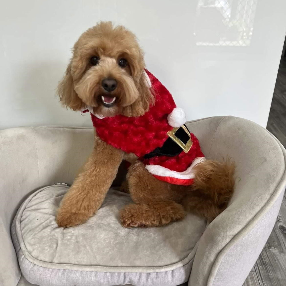 Santa Claus Vest Dog Costume