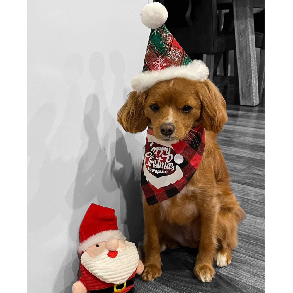 Christmas Plaid Party Hat & Bow Tie Bell Collar