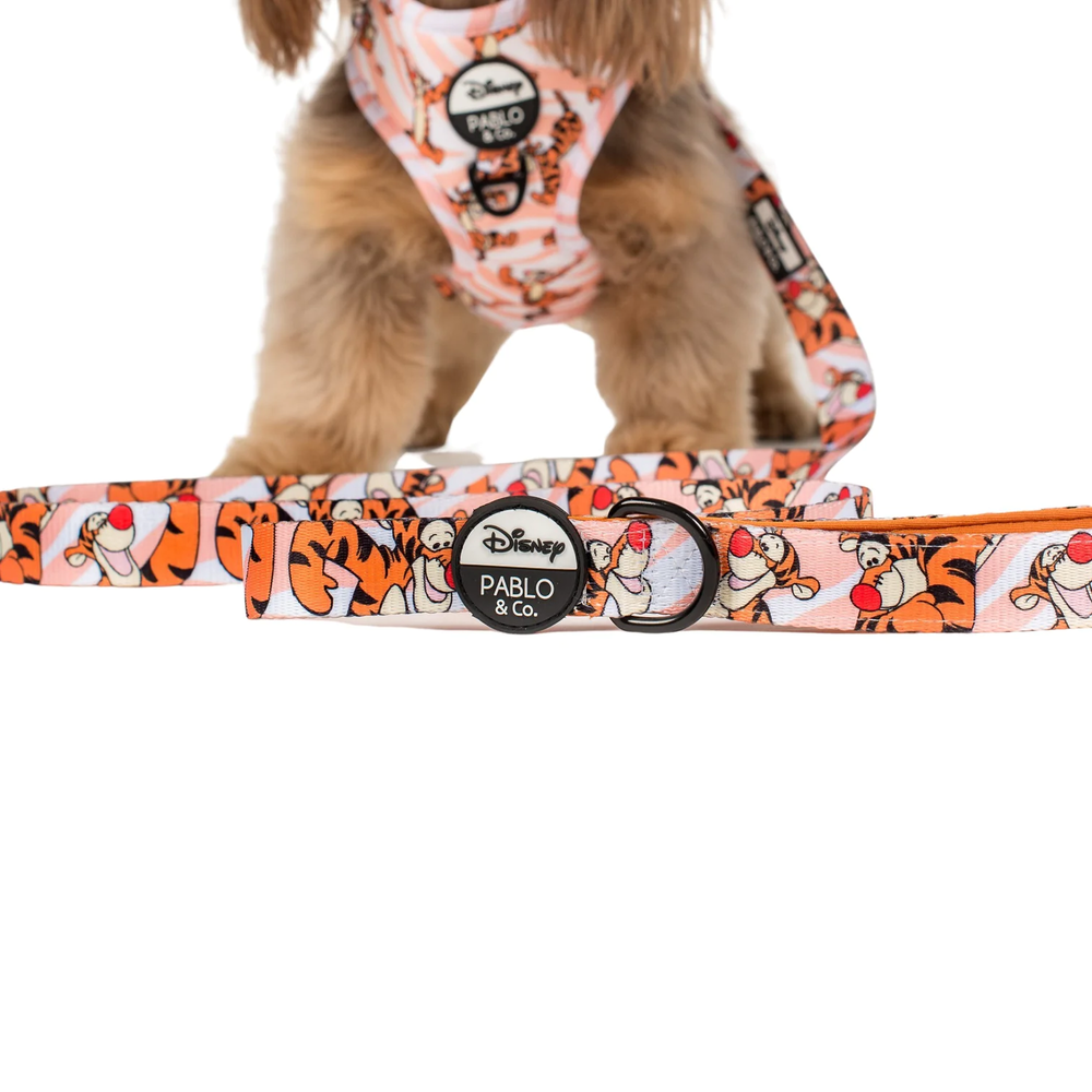 Pablo & Co One of a Kind Tigger: Dog Leash