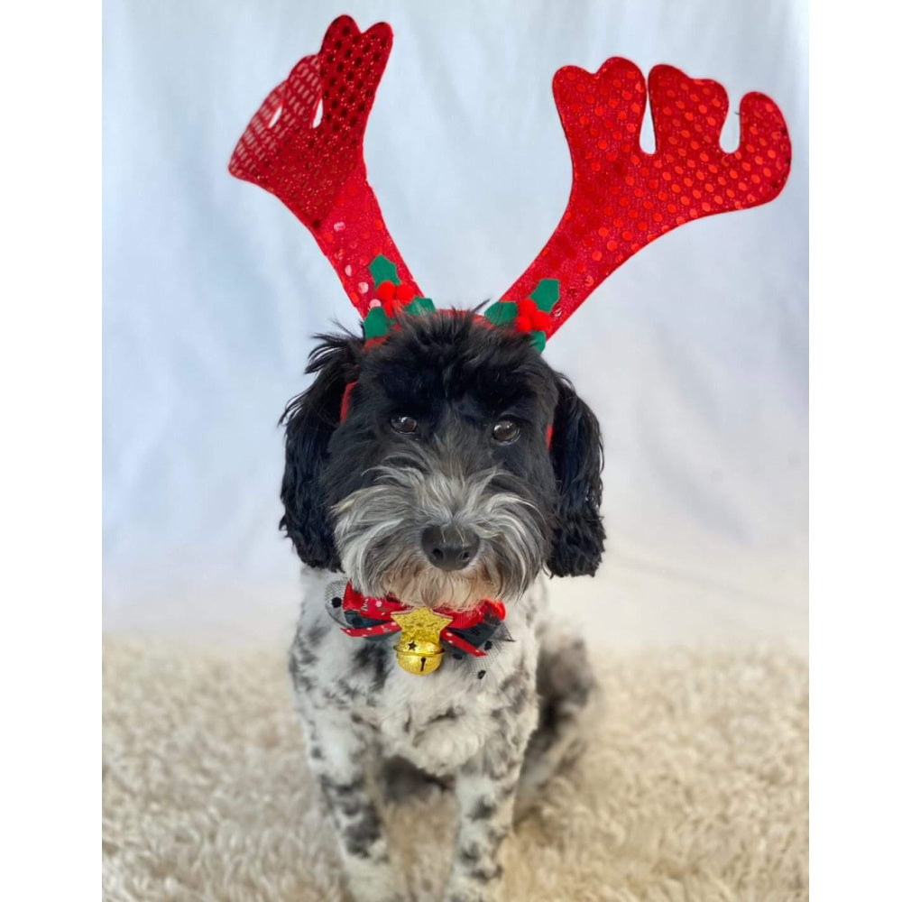 Sequin Reindeer Dog Antlers