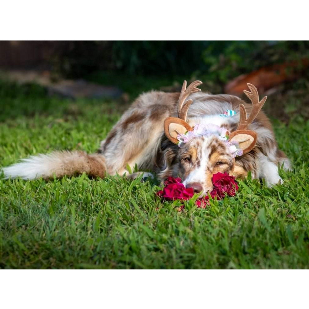 Nordic Reindeer Antlers Dog Headpiece