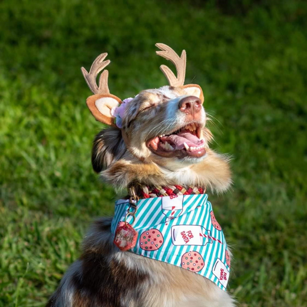 Nordic Reindeer Antlers Dog Headpiece