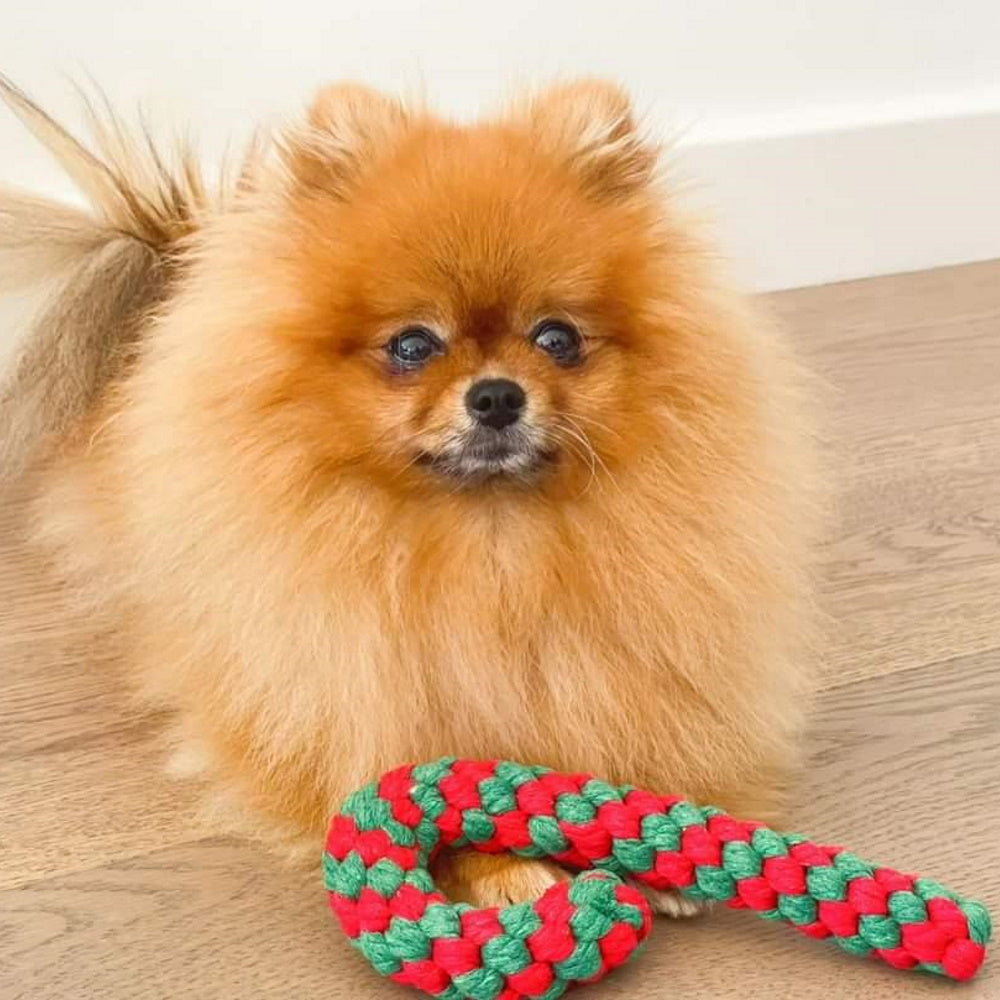 Candy Cane Rope Toy﻿